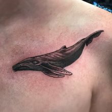 Tattoo at 802 Ink in Essex Junction, VT